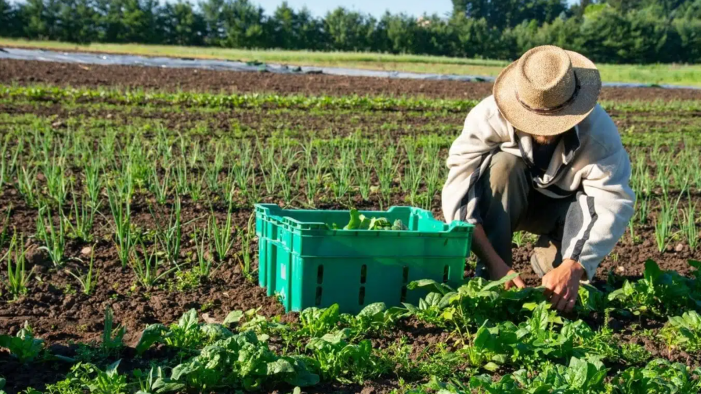 Australia Farm Worker Jobs