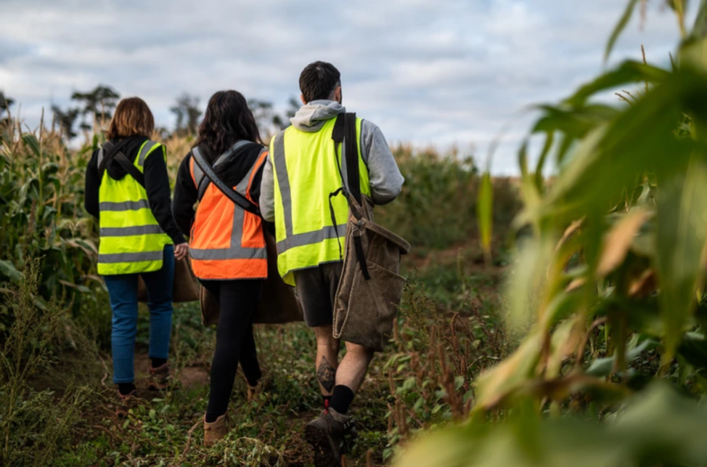 High Paying Farm Worker Jobs in Australia